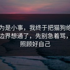我以为是小事，我终于把猫狗绝育的合规边界想通了，先别急着骂，请先照顾好自己
