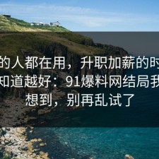 业内的人都在用，升职加薪的时间线越早知道越好：91爆料网结局我真没想到，别再乱试了