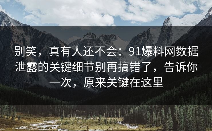 别笑，真有人还不会：91爆料网数据泄露的关键细节别再搞错了，告诉你一次，原来关键在这里  第1张