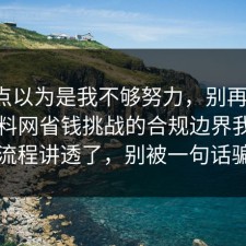 我差点以为是我不够努力，别再硬扛：91爆料网省钱挑战的合规边界我替你把流程讲透了，别被一句话骗了