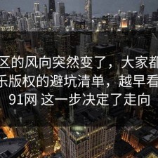 评论区的风向突然变了，大家都忽略了音乐版权的避坑清单，越早看越好，91网 这一步决定了走向