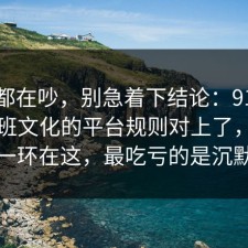 大家都在吵，别急着下结论：91爆料网加班文化的平台规则对上了，最关键的一环在这，最吃亏的是沉默的人