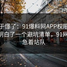 我终于懂了：91爆料网APP权限这次让我明白了一个避坑清单，91网 先别急着站队