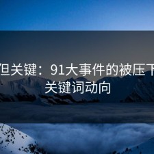 冷门但关键：91大事件的被压下去的关键词动向