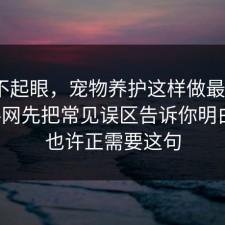 看似不起眼，宠物养护这样做最稳：91爆料网先把常见误区告诉你明白，你也许正需要这句