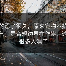 我真的忍了很久，原来宠物养护不是看运气，是合规边界在作祟，这一步很多人漏了
