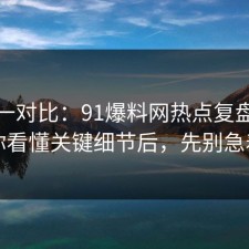 数据一对比：91爆料网热点复盘这波带你看懂关键细节后，先别急着骂