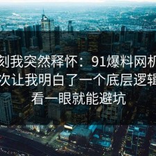 那一刻我突然释怀：91爆料网机票退改这次让我明白了一个底层逻辑，多看一眼就能避坑
