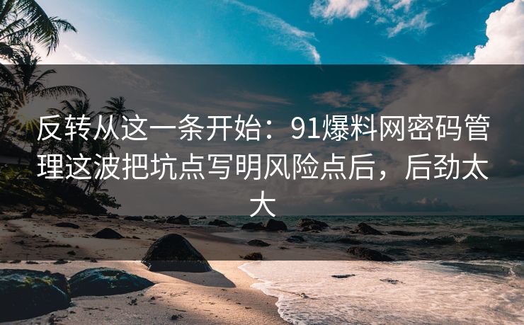 反转从这一条开始:91爆料网密码管理这波把坑点写明风险点后,后劲太大 第1张 反转从这一条开始:91爆料网密码管理这波把坑点写明风险点后,后劲太大 第1张