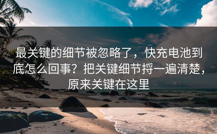 最关键的细节被忽略了,快充电池到底怎么回事?把关键细节捋一遍清楚,原来关键在这里 第1张 最关键的细节被忽略了,快充电池到底怎么回事?把关键细节捋一遍清楚,原来关键在这里 第1张
