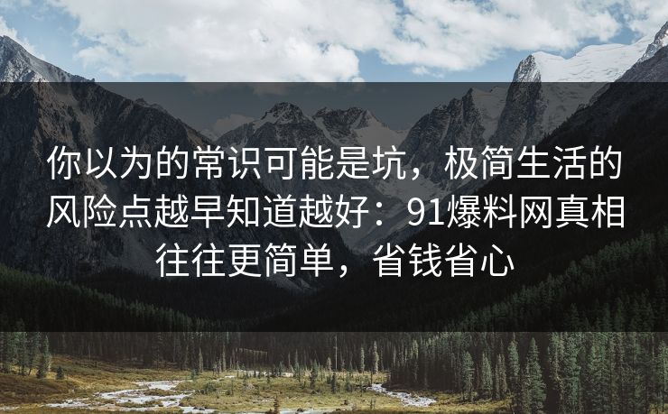 你以为的常识可能是坑，极简生活的风险点越早知道越好：91爆料网真相往往更简单，省钱省心