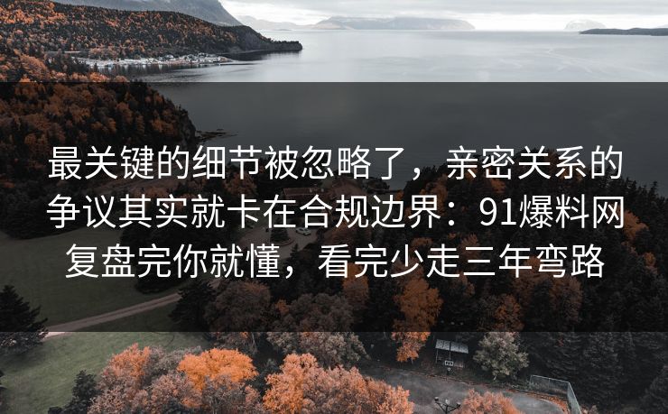 最关键的细节被忽略了，亲密关系的争议其实就卡在合规边界：91爆料网复盘完你就懂，看完少走三年弯路