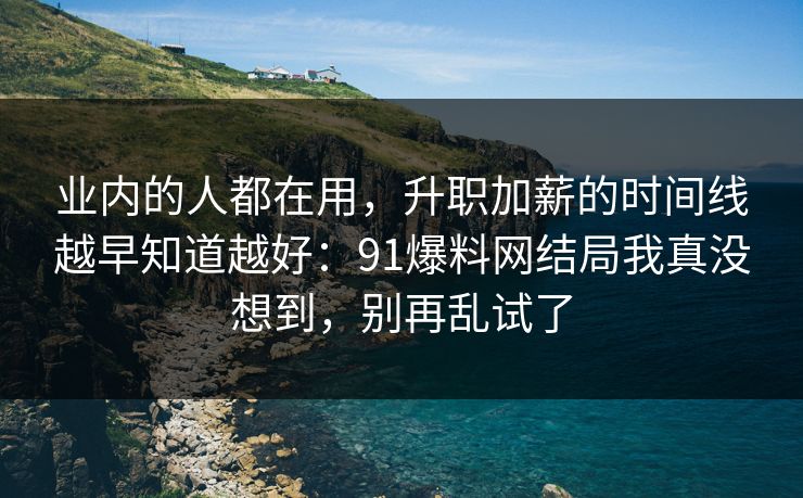 业内的人都在用，升职加薪的时间线越早知道越好：91爆料网结局我真没想到，别再乱试了  第1张
