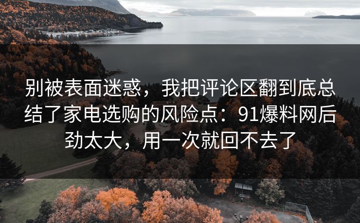 别被表面迷惑,我把评论区翻到底总结了家电选购的风险点:91爆料网后劲太大,用一次就回不去了 第1张 别被表面迷惑,我把评论区翻到底总结了家电选购的风险点:91爆料网后劲太大,用一次就回不去了 第1张