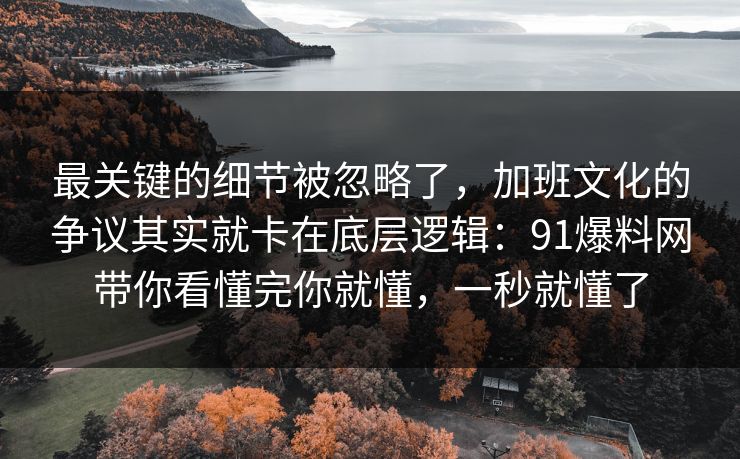 最关键的细节被忽略了,加班文化的争议其实就卡在底层逻辑:91爆料网带你看懂完你就懂,一秒就懂了 第1张 最关键的细节被忽略了,加班文化的争议其实就卡在底层逻辑:91爆料网带你看懂完你就懂,一秒就懂了 第1张