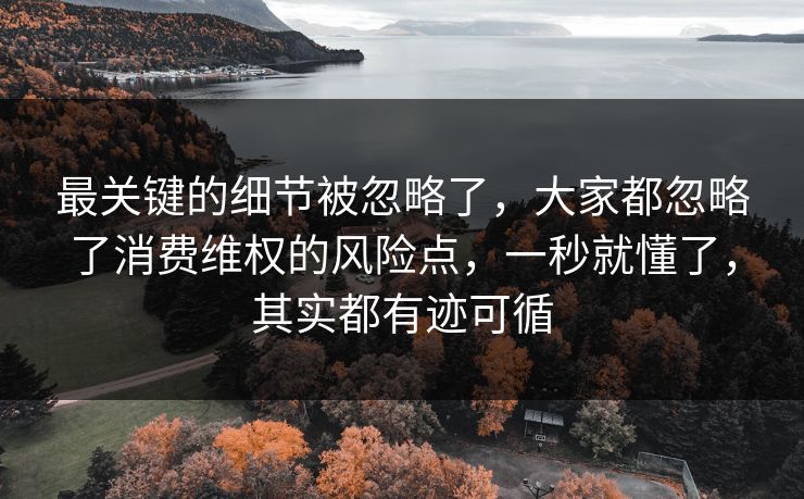 最关键的细节被忽略了,大家都忽略了消费维权的风险点,一秒就懂了,其实都有迹可循 第1张 最关键的细节被忽略了,大家都忽略了消费维权的风险点,一秒就懂了,其实都有迹可循 第1张