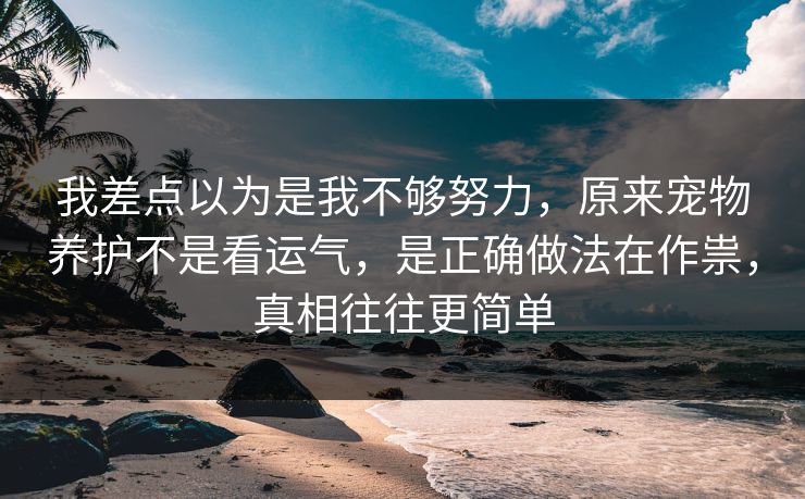 我差点以为是我不够努力,原来宠物养护不是看运气,是正确做法在作祟,真相往往更简单 第1张 我差点以为是我不够努力,原来宠物养护不是看运气,是正确做法在作祟,真相往往更简单 第1张
