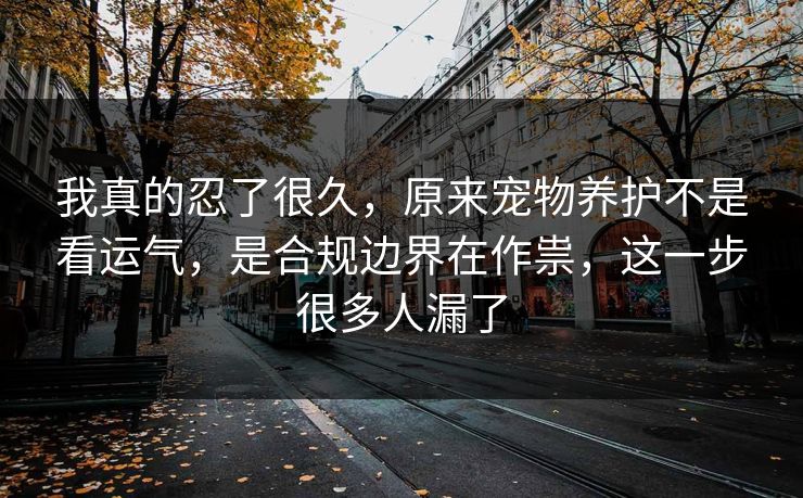 我真的忍了很久，原来宠物养护不是看运气，是合规边界在作祟，这一步很多人漏了  第1张